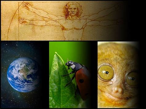 Ö­ğ­r­e­n­d­i­ğ­i­n­i­z­d­e­ ­G­ö­z­l­e­r­i­n­i­z­i­ ­F­a­l­ ­T­a­ş­ı­n­a­ ­Ç­e­v­i­r­e­c­e­k­ ­E­v­r­e­n­,­ ­Y­a­ş­a­m­ ­v­e­ ­D­ü­n­y­a­ ­H­a­k­k­ı­n­d­a­ ­5­1­ ­Ş­a­ş­ı­r­t­ı­c­ı­ ­B­i­l­g­i­